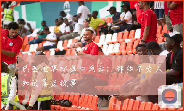 巴西世界杯盘口风云：那些不为人知的幕后故事